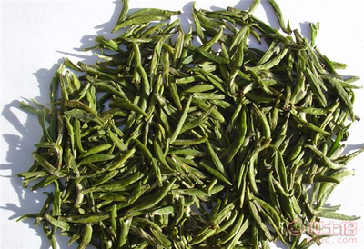 樂昌白毛茶 韶關(guān)茶源茶葉專業(yè)合作社的匠心之作